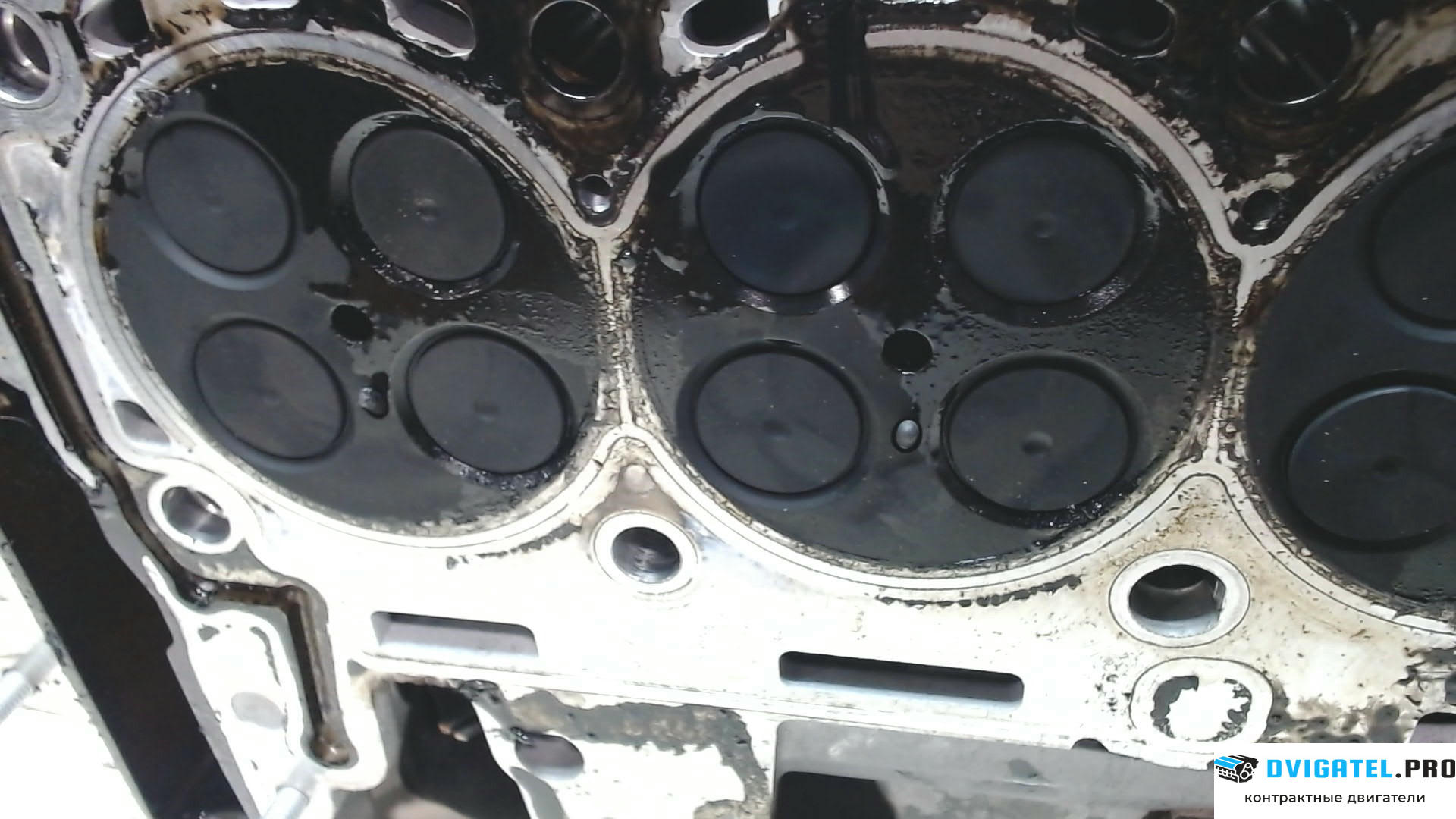 Головка блока цилиндров (ГБЦ) BMW 3 E90, E91, E92, E93 2005 - 2012 N47D20A 2 л., Дизель, TDI, артикул 8004282