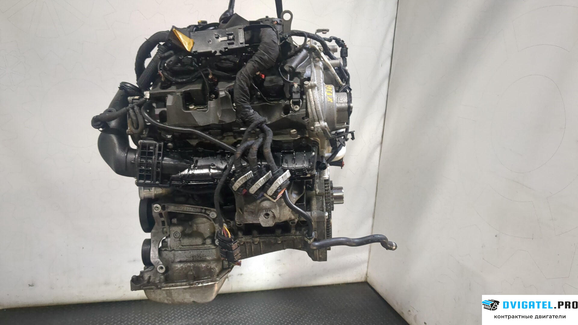 Двигатель Audi S5 F5 2016 - 2019 CWGD 3 л., Бензин, TFSI, артикул 9275608