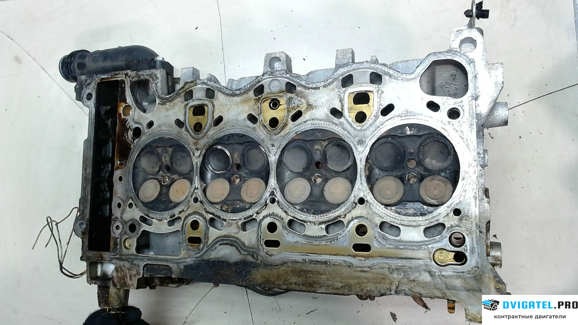 Головка блока цилиндров (ГБЦ) BMW 1 E87 2004 - 2011 N43B20A 2 л., Бензин, Инжектор, артикул 7843223