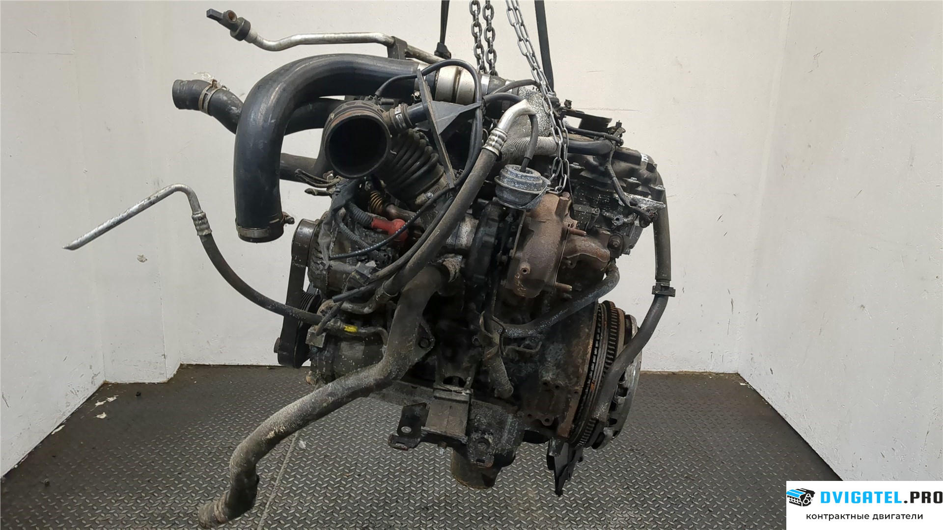 Двигатель Nissan Navara 2005 - 2015 YD25DDTI 2.5 л., Дизель, DCI, артикул 8104139