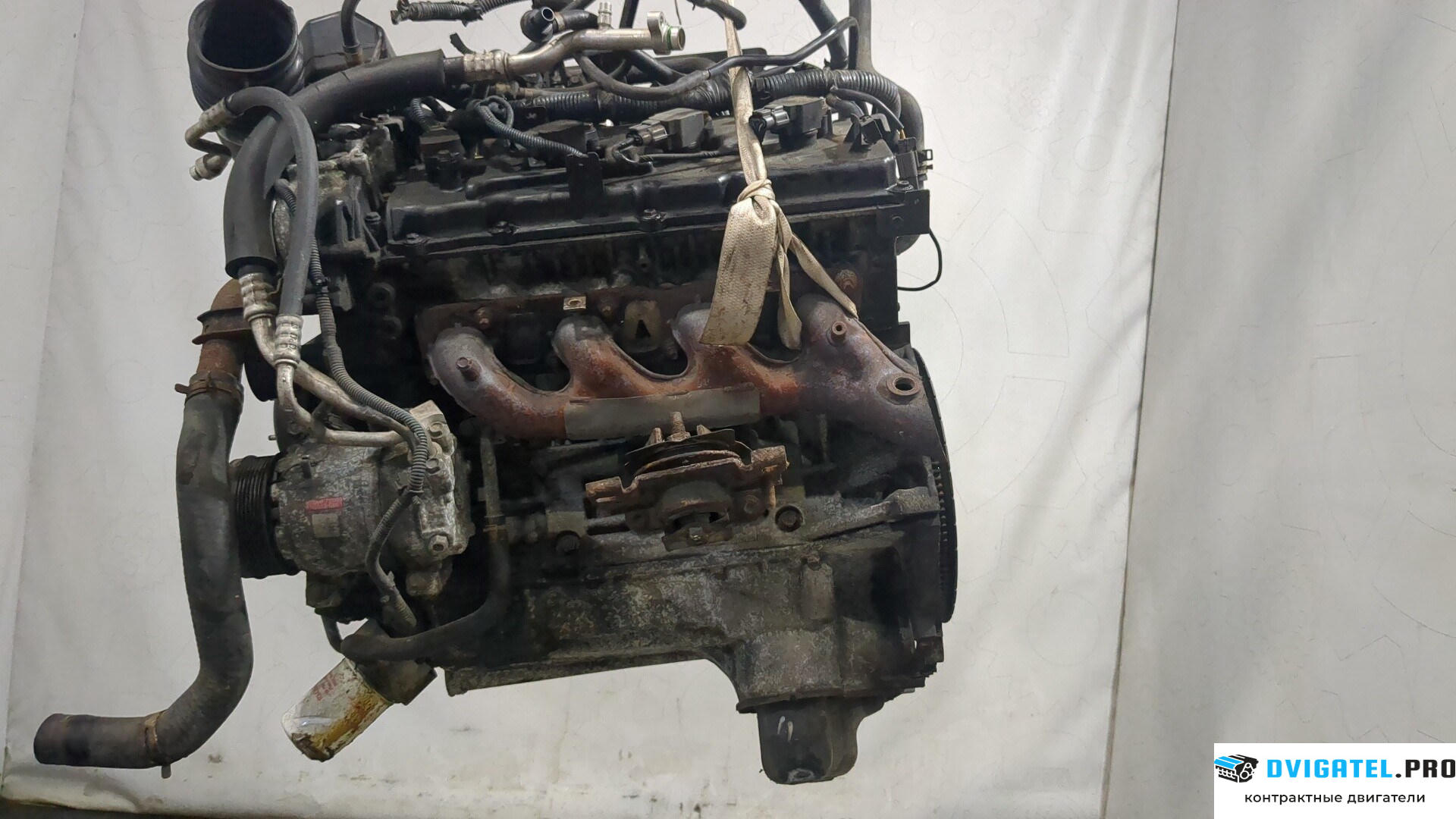 Двигатель Infiniti QX56 2004 - 2010 VK56DE 5.6 л., Бензин, Инжектор, артикул 8231127