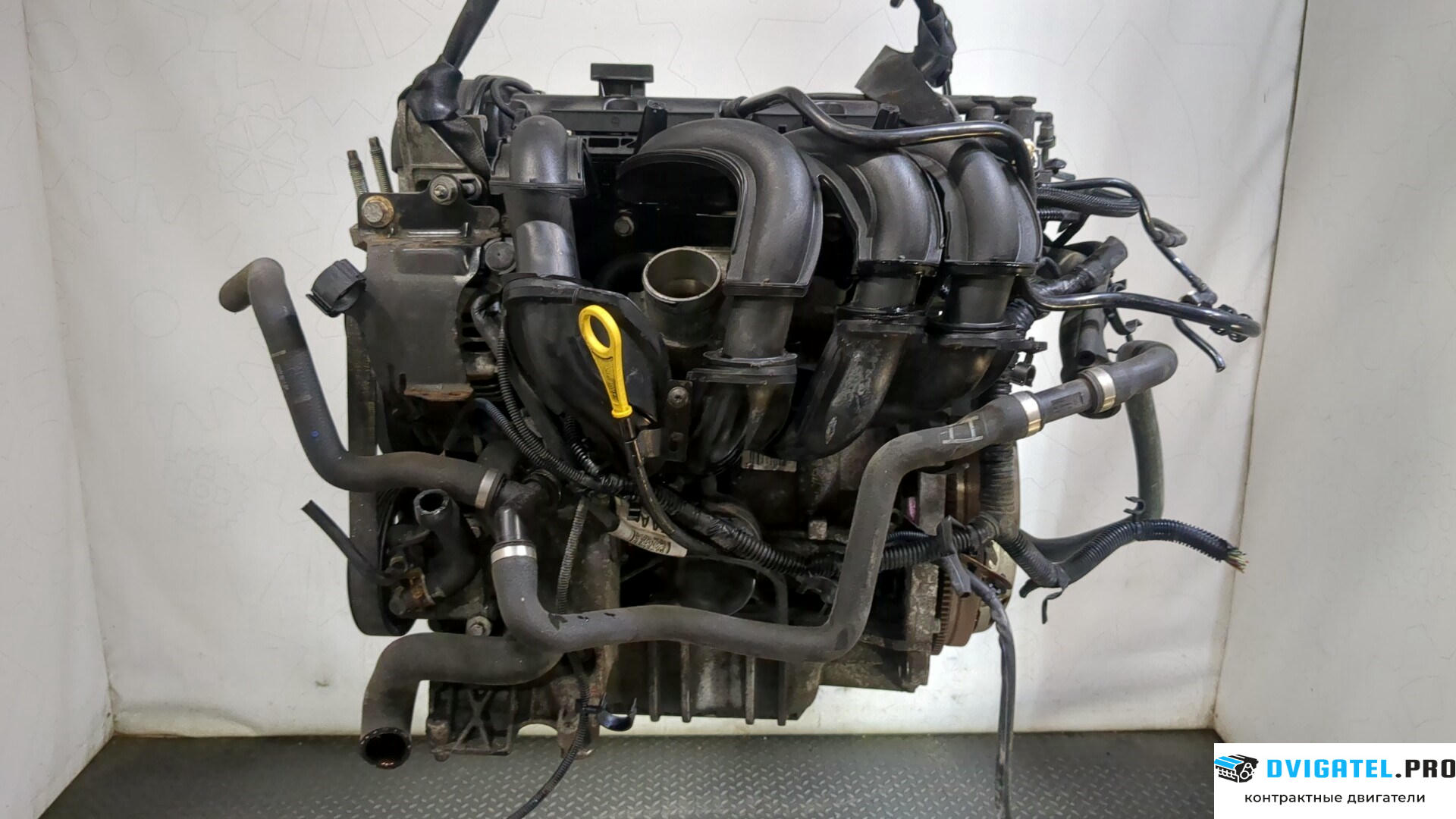 Двигатель Ford Focus 2 2005 - 2008 SHDA 1.6 л., Бензин, HPDC Инжектор, артикул 9262260
