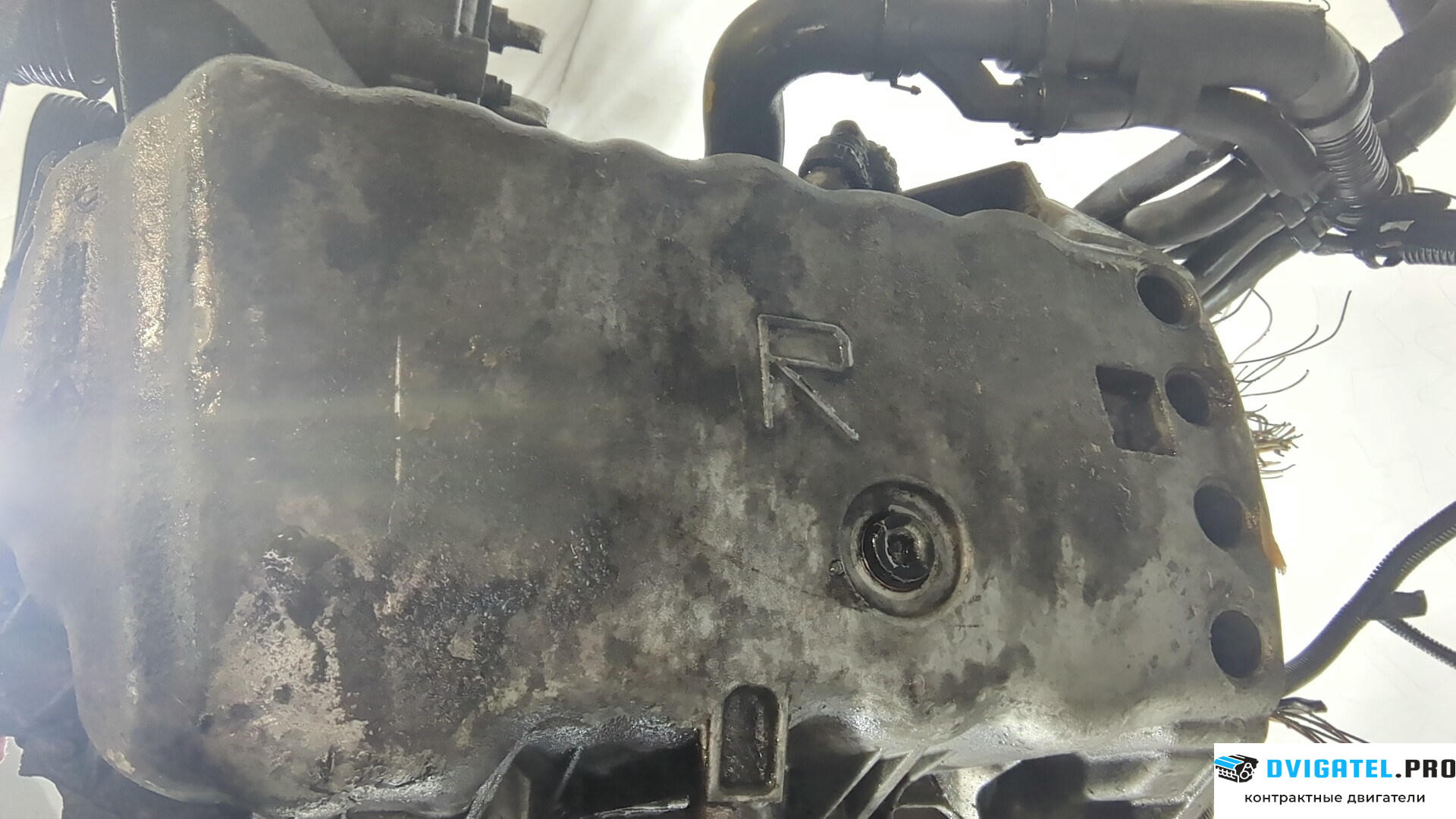 Двигатель Renault Scenic 2003 - 2009 F9Q 804 1.9 л., Дизель, DCI, артикул 8977742