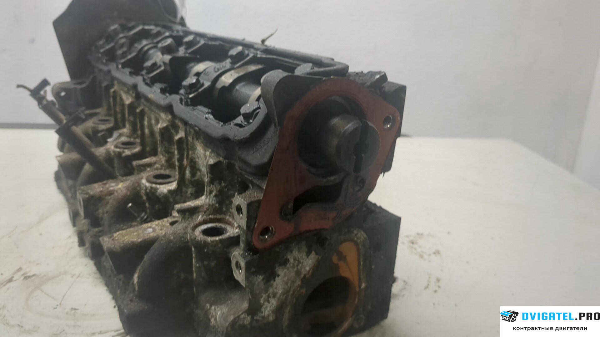 Головка блока цилиндров (ГБЦ) Opel Vivaro 2001 - 2014 F9Q 762 1.9 л., Дизель, DCI, артикул 8848096