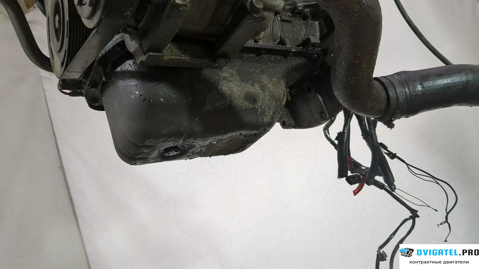 Двигатель Ford Fusion 2002 - 2012 HHJB, HHJA 1.6 л., Дизель, TDCI, артикул 8569081