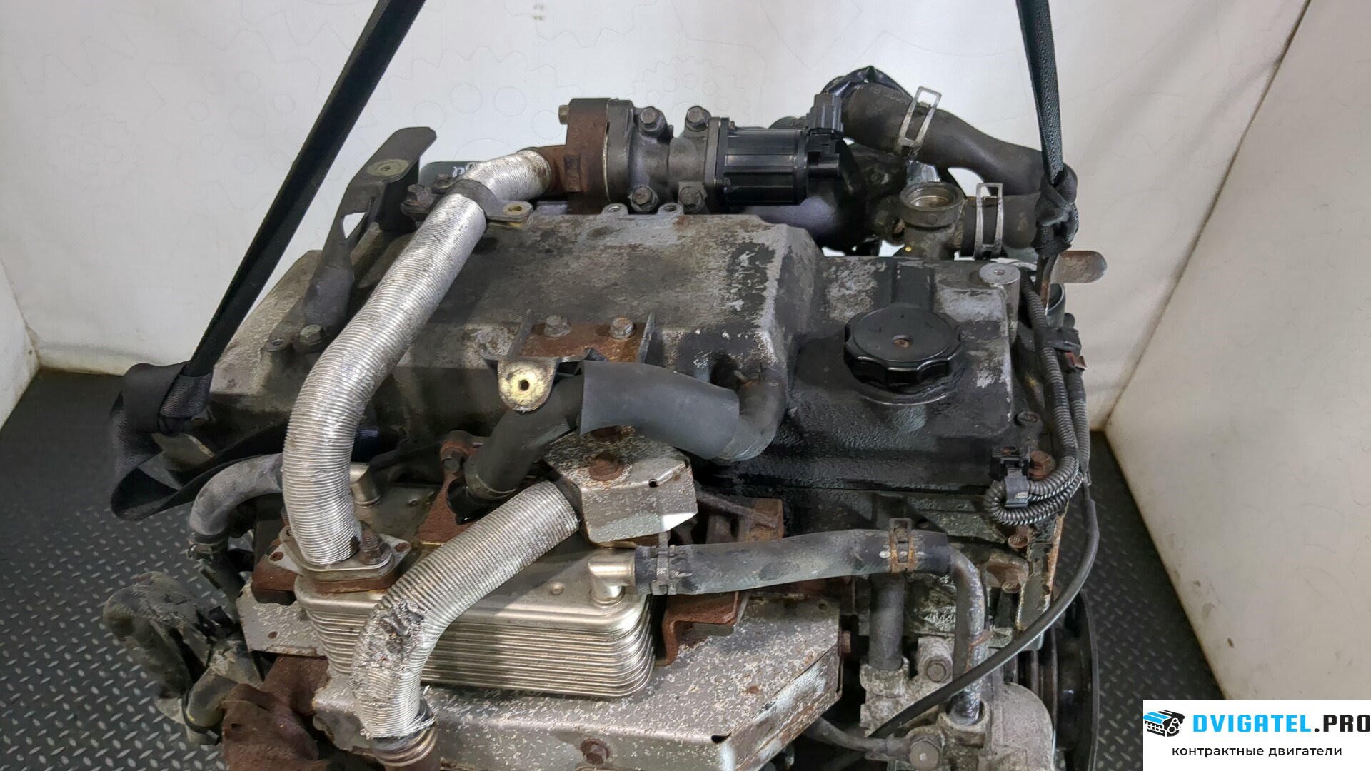 Двигатель Mitsubishi Pajero / Montero 2000 - 2006 4M41 3.2 л., Дизель, Турбо, артикул 9281376